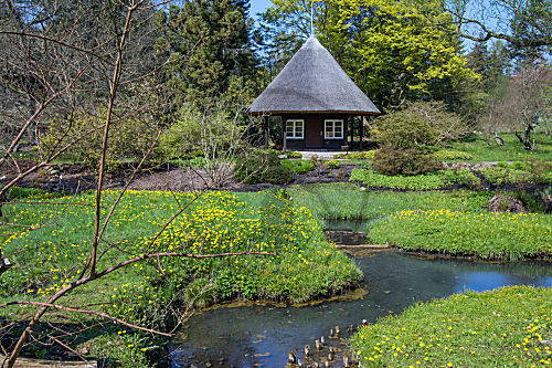 Bild Pavillon Botanischer Garten Rostock